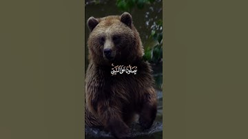 اللهم صلي و سلم على نبينا محمد. #اسلام #اكسبلور #راحة_نفسية #لايك #تيك_توك #تلاوة_خاشعة #قرآن