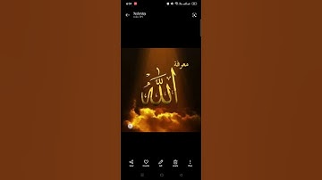 معانى كلمات سورة.. التغابن