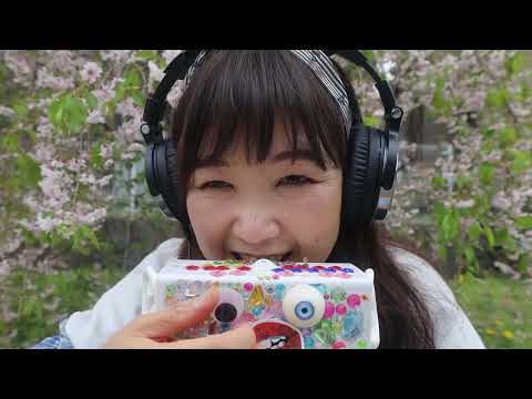 【ASMR 】Tickle tickle桜の木の下で🌸オノマトペOnomatopoeia Under Cherry Blossoms