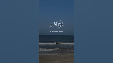 #القرآن_الكريم #اكسبلور #بسم_الله_الرحمن_الرحيم #راحة_نفسية #سورة_البقرة #حالات_واتس #المصحف