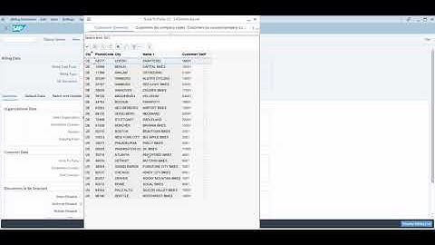 MIS305 Case 1 Step 11: Create Invoice for Customer