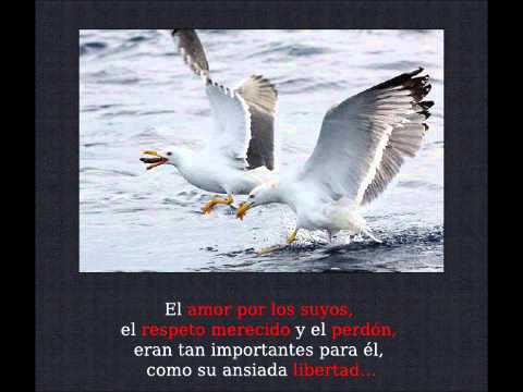 Juan Salvador Gaviota - YouTube
