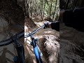 N Trail - Snowshoe, WV #mtb #cycle #downhill #westvirginia #snowshoewv #specialized
