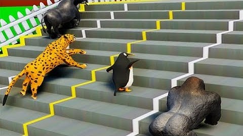 animal shape Transform race gameplay | shape shifting game level 1| shape shifting game level 2