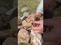 Huge Quartz Vein Found in the River! #kuvars #altın #quartz #gold