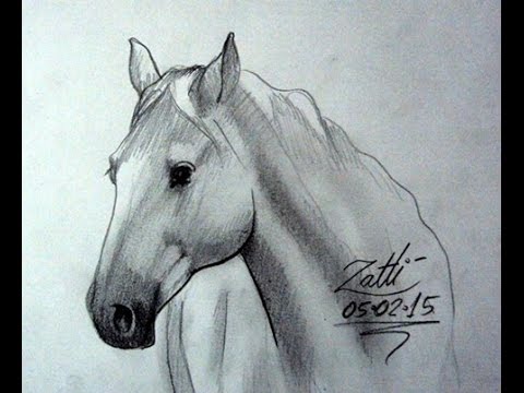 How to draw a horse - como desenhar um cavalo - iPStudio. #shorts