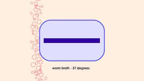 How to Sequence a Genome: 4. E. Coli Storage