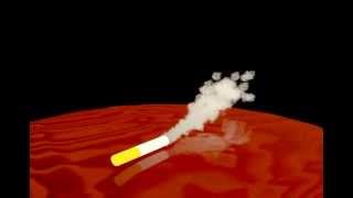 SmokingACig.avi