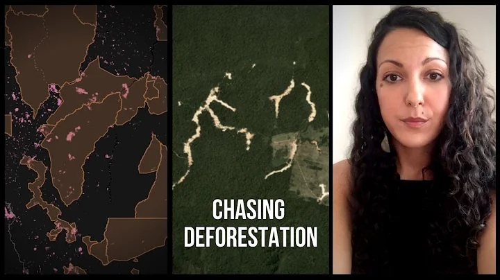 Chasing Deforestation: Logging surges on Indigenous Land