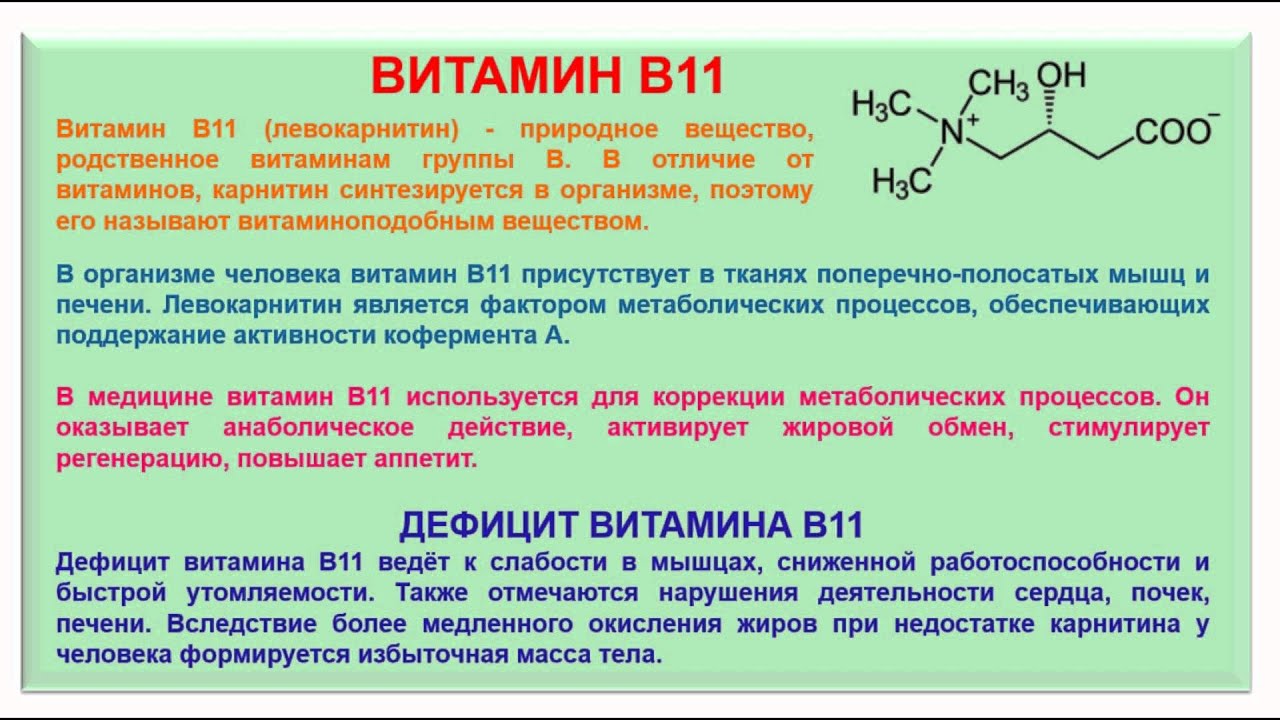 Химическая природа органических соединений. Витамин в11. Карнитин (витамин в11). Витамин в11 гипервитаминоз. Витамин в11 функции.