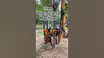 Ongelooflijke boomverplantingsmachine in actie🌳 #zwaremachines #boomtransplantatie #BoomVerwijder...