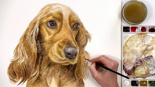 Create realistic dog portraits  the BEST watercolor technique for realistic fur