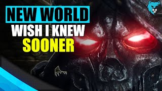10 Things I Wish I Knew before playing New World Preview