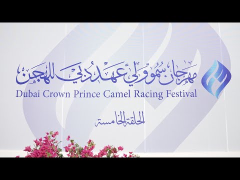 اهل الهجن مهرجان سمو ولي عهد دبي للهجن هيثم الحمادي الحلقة الخامسة ١٤ ١ ٢٠٢٦ 