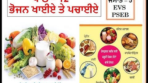 CLASS-5 EVS LESSON-12 ਭੋਜਨ ਖਾਈਏ ਤੇ ਪਚਾਈਏ  PSEB BY EDUCATION FOR ALL
