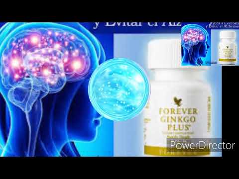 FOREVER GINKGO PLUS/ហ្វ័រអេវេី ហ្គីងហ្គោ ផ្លេីស!0969240490/077982051/015689592/077722756!FLP💪