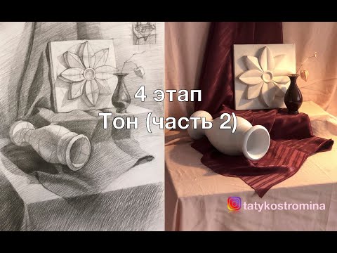 4 этап рисунка натюрморта с розеткой - тон Ч.2 - Костромина Татьяна Александровна