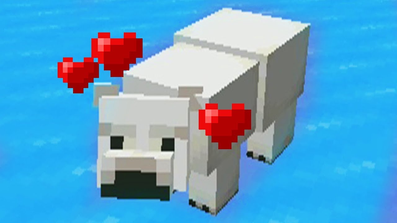 I Tame A Polar Bear In Minecraft Very Cute Youtube