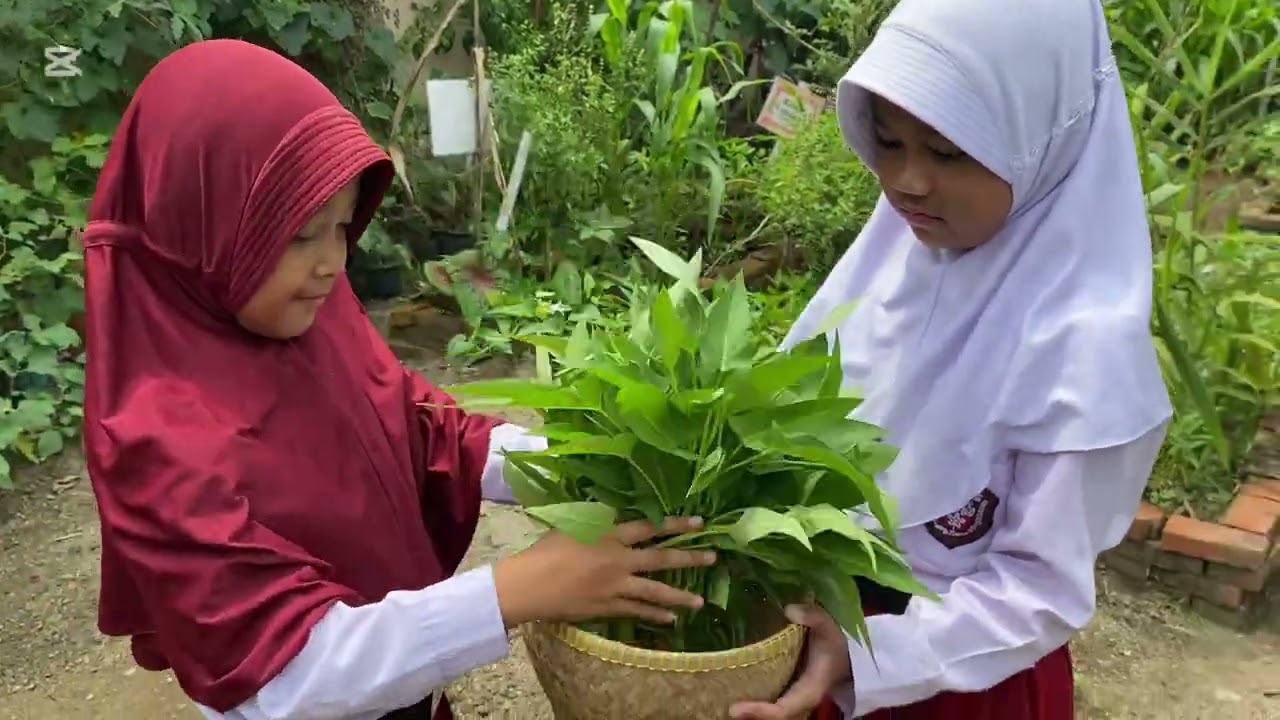 Memperingati Hari Bumi Nasional Membuat Bedengan di Sekolah 
