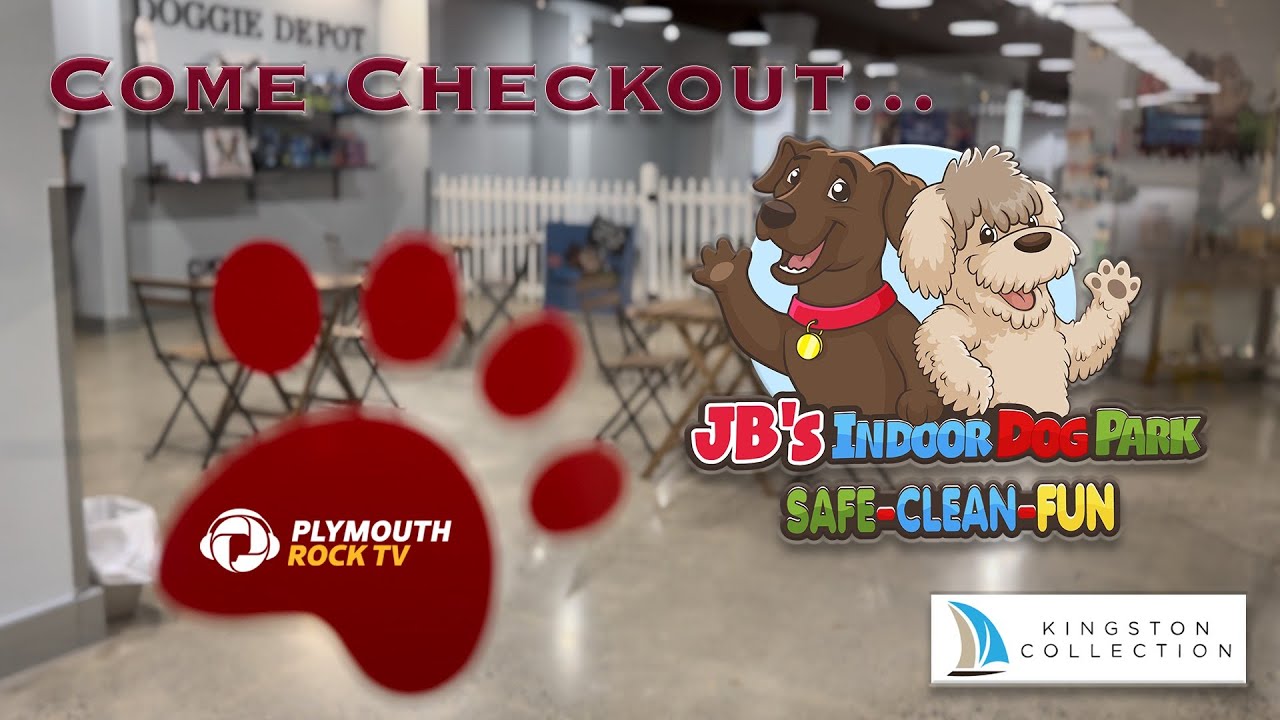 Jb S Indoor Dog Park