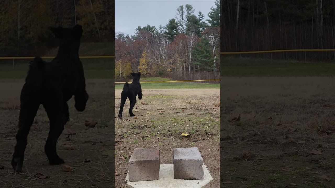 FPV Takeoff: 0 -100 km/h in 1 sec 😱 | 🎥: YT / Bangor Fpv 