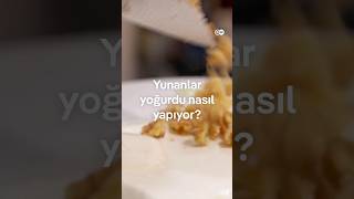 Yunan Yoğurdu Türk Yoğurdundan Farklı Mı? Üreticisi Konuştu