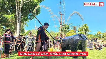 Độc đáo lễ đâm trâu của người Jrai
