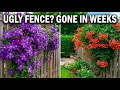 Plant Once, Hide Your Fence Forever: 7 Fast-Growing Perennials for a Lush Border