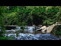 ماجد الزامل سورة الأنبياء Majed Al Zamil Sourat Al Anbiya 