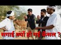  rajasthani comedy    hariyanavi