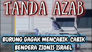 TANDA AZAB - BENDERA ISRAEL DICABIK-CABIK BURUNG GAGAK