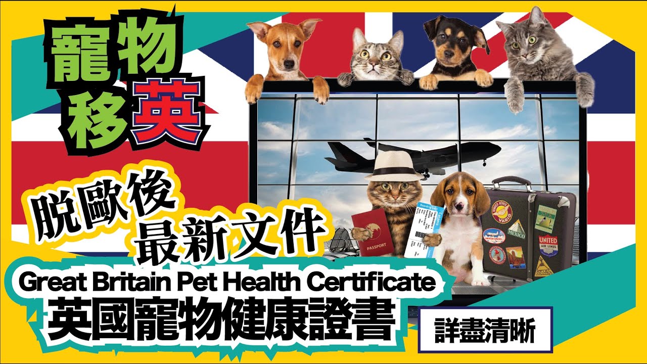 【英國寵物健康證書】10分鐘學識點填 + 詳細解釋每一個需要注意事項 ｜ 每一個重點都唔可以走漏眼！ ！ 香港人移民資訊BB班 - YouTube