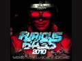 Furious Bass 2010 Piste 13 HASTY BOY Still Life mp3