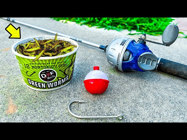 Fishing w/ GREEN Live Worms for WHATEVER Bites! 
