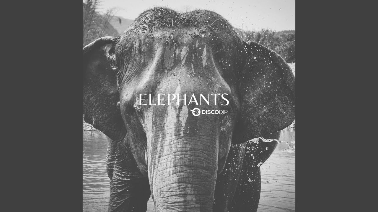 Elephant music