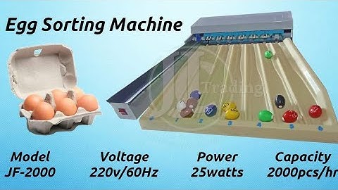 Mini Egg Grading Machine