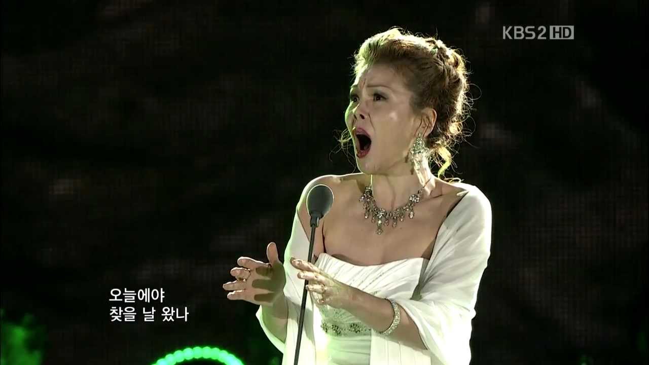 그리운 금강산(Miss Mount Keumkang)