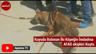 Kuyuda Bulunan İki Köpeğin İmdadına AFAD ekipleri Koştu