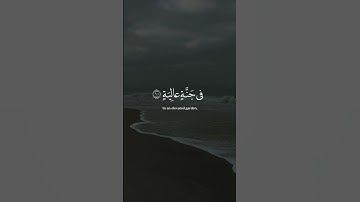 من الأية 8 إلى الأية 12 من سورة الغاشية 🎧