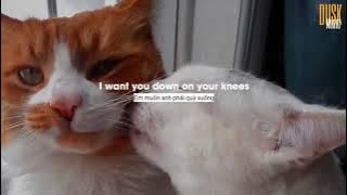 Tie Me Down remix   Gomez Lx    Vietsub   Lyric Tik Tok Song