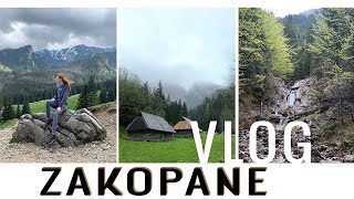 VLOG ZAKOPANE | Wyprawa w góry & spacerki w deszczu