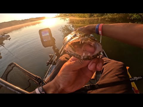Caesers Creek Lake Bass Fishing(July, 2024) Southwest Ohio