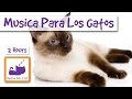 2 horas de música relajante para los gatos