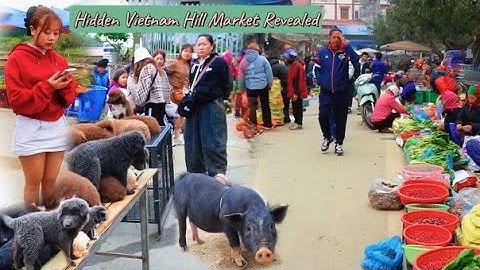 SỐC! Northwest Market  - Ẩm Khó Cưỡng, Lợn Cắp Nách Đặc Sản, Chó H