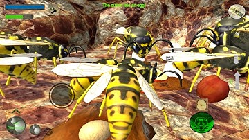 Wasp Nest Simulation Full
