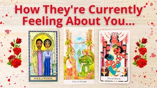 HOW DO THEY FEEL ABOUT YOU NOW? PICK A CARD  LOVE TAROT READING  TWIN FLAMES  SOULMATES