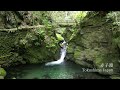 【徳島県三好市】伝説が息づく渓谷の秘境/赤子淵　Akagofuchi Pool: A hidden valley where legend lives
