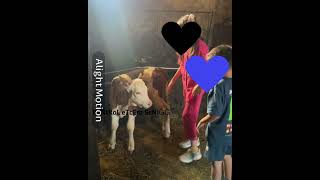 Senğ Burdanğ Geçemenğ Şfet