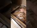 Need a Handyman? Watch This!