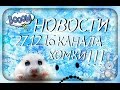 Новости канала "ХОМКИ" 27.12.16